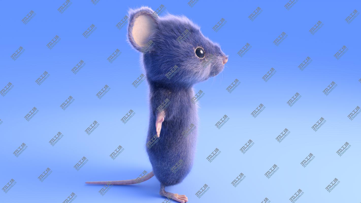images/goods_img/2021040231/3D Mouse - Cartoon style - Grey fur - rigged model/3.jpg